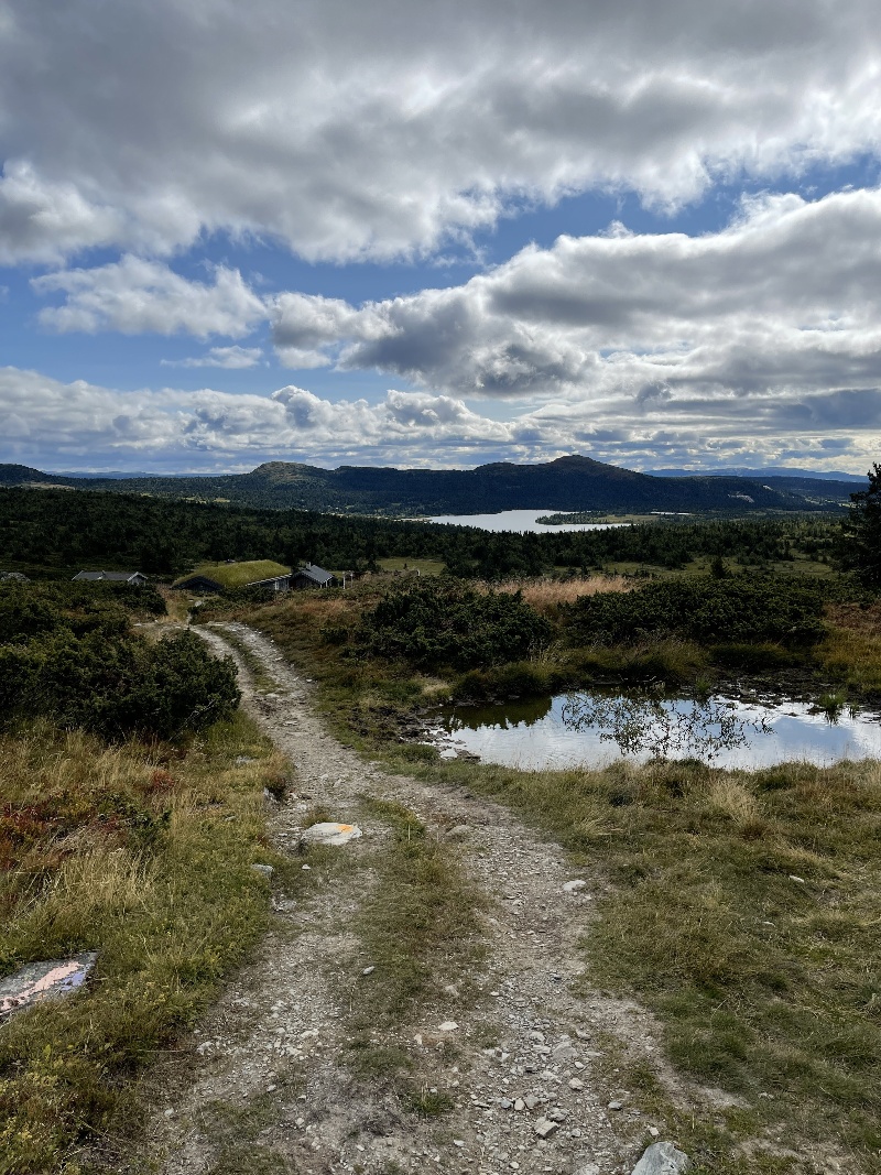 Tursti på Skei